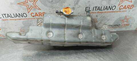 Deposito Expansion Nissan Cabstar CABSTAR 35.XX CABINA SIMPLE CABINA INDIVIDUAL 131CV 96KW