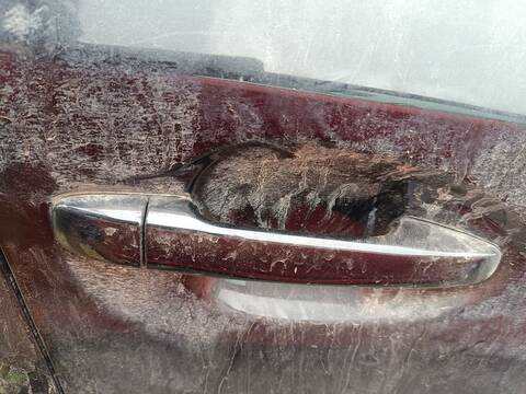 Maneta Exterior Delantera Derecha Toyota Prius 2ZRFXE AUT.