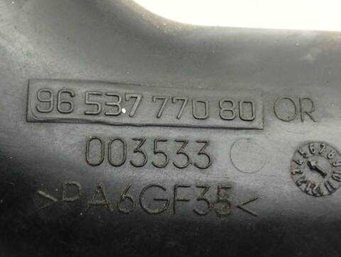 Foto 3ª: Tubo de Escape Ford C Max AMBIENTE D) 109CV 80KW FOCUS CAP) [G8DA] (2005)