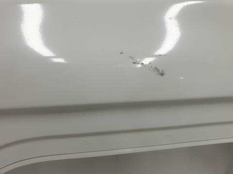 Foto 2ª: Puerta Trasera Izquierda Renault Trafic L1H1 29T KOMFORT (2014)