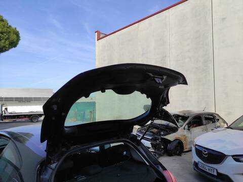 Portón Peugeot 208 ZM01