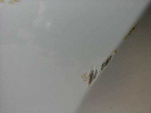 Foto 3ª: Portón Kia Proceed SPORTY WAGON ED) [G4LC] (2018)