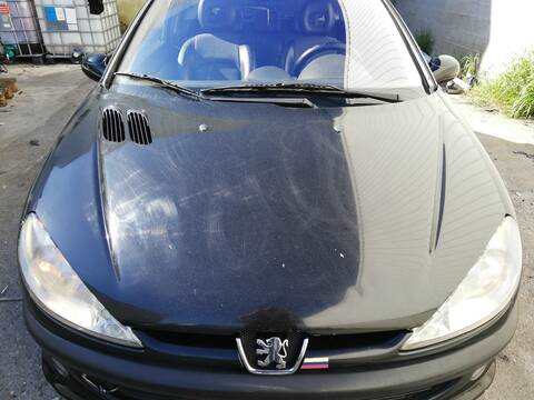 Capot Peugeot 206 RFN