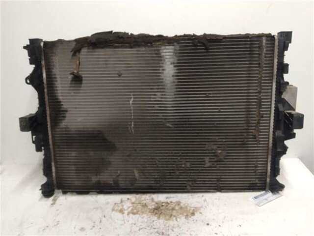 Foto 2ª: Radiador Motor Ford S Max 2.0 TREND [2.0 LTR. - 103 KW TDCI CAT] (CA1)(2006 _) [UFWA]
