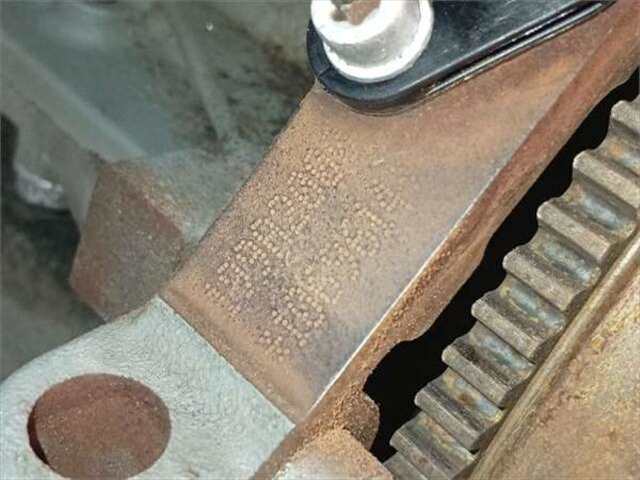 Foto 2ª: Motor Completo Fiat Punto 1.3 D MULTIJET [199 A2.000]