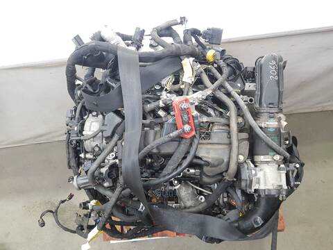 Motor Completo Ford Tourneo TITANIUM