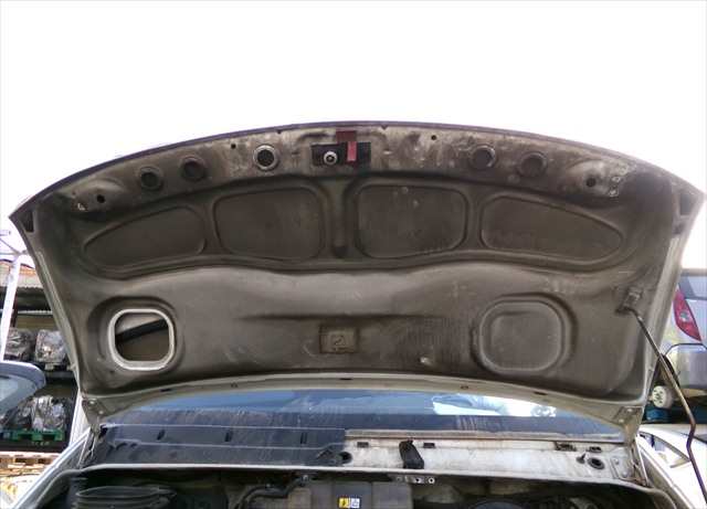 Foto 2ª: Capot Iveco Daily 2.3 D 1999-2006 [F1AE0481B*A] (2005)