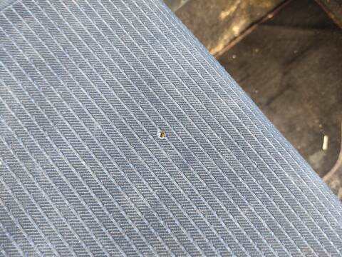 Foto 2ª: Asiento Delantero Derecho Suzuki Swift M13A BERLINA (2009)