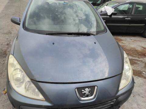 Capot Peugeot 307 NFU BERLINA