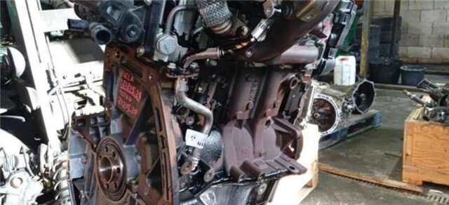Foto 3ª: Despiece Motor Mercedes Citan 1.5 109 CDI COMPACTO (A1)(415.601) [1.5 LTR. - 66 KW CDI CAT]