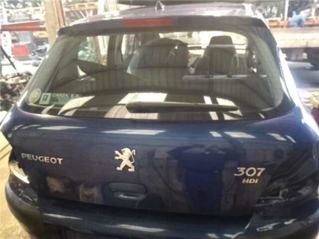 Portón Peugeot 307 2.0 HDI 90