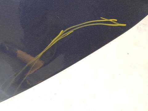 Foto 4ª: Puerta Trasera Izquierda Ford Mondeo 2.0 ECOBLUE HATCHBACK 190CV 140KW [YMCC] (2019)