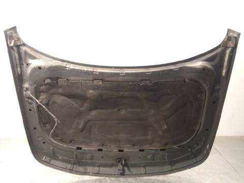 Foto 4ª: Capot Land Rover Range 2.7 TD V6 CAT 190CV 140KW [276DT] (2009)