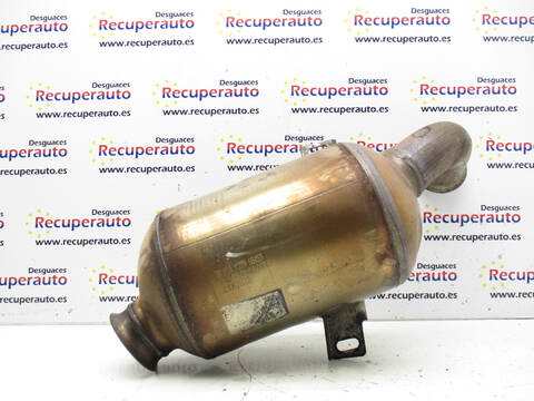 Catalizador Peugeot 1007 8HZ