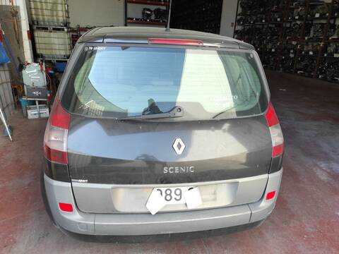 Foto 2ª: Portón Renault Scenic F9Q812 JM) (2003)
