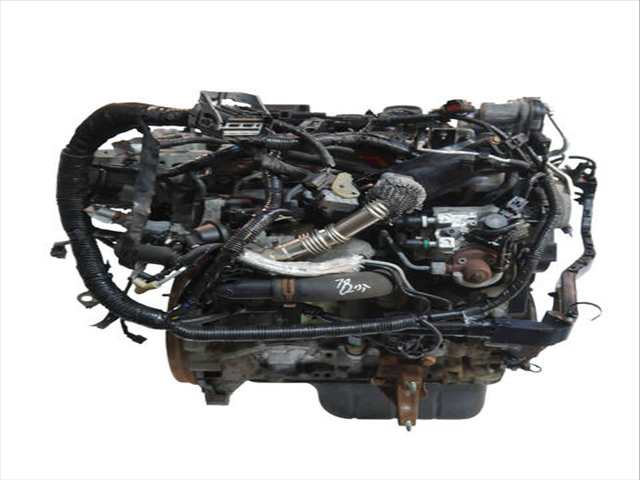Foto 2ª: Motor Completo Ford Transit 75CV 55KW [UGCA] (2014)