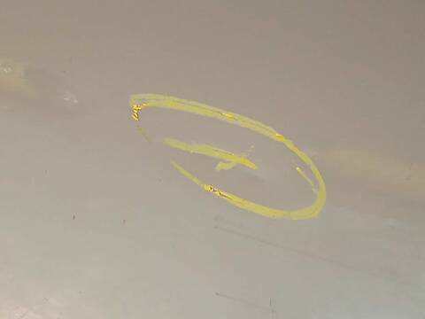 Foto 4ª: Puerta Delantera Izquierda Peugeot 5008 SPORT PACK 156CV 115KW [5F02] (2010)