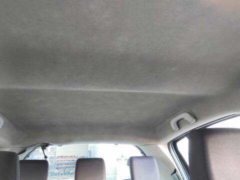 Techo Interior Renault Clio D4F784