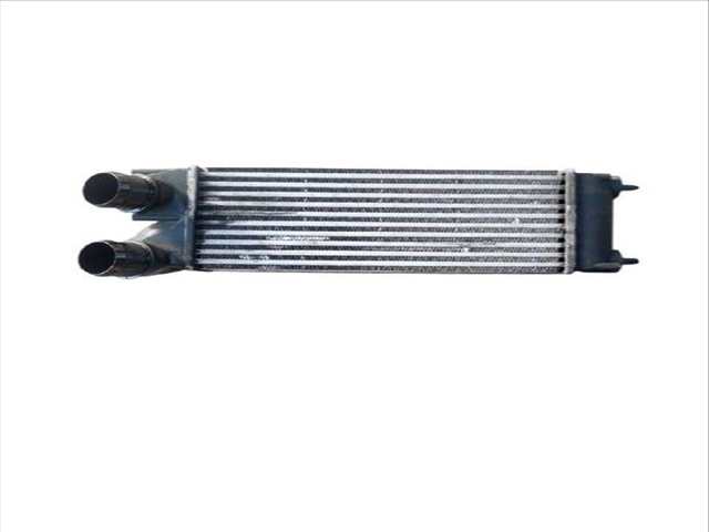 Intercooler Peugeot 3008 1.6 HDI 109CV