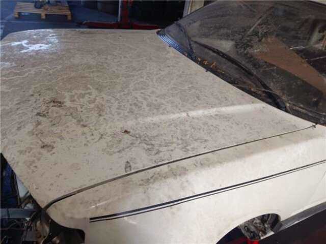 Foto 2ª: Capot Peugeot 309 1.9 GTI [D2H]