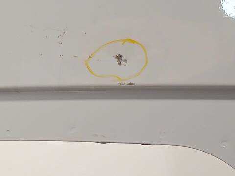 Foto 4ª: Puerta Trasera Izquierda Mercedes Sprinter 419 CDI RWD 907.643 907.645 907.647) 190CV 140KW FURGONETA [654920] (2024)