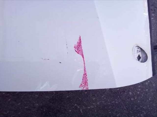 Foto 2ª: Puerta Delantera Derecha Seat Ibiza STYLANCE - STYLE 90CV 66KW [BXJ] (2009)