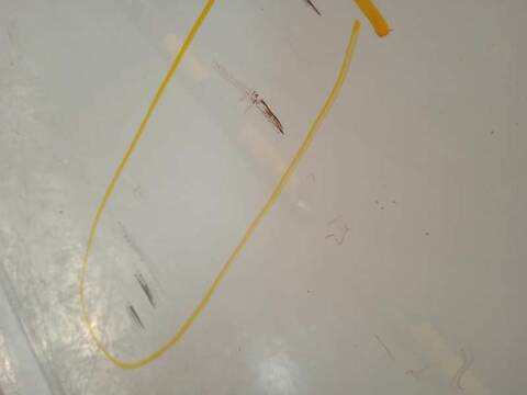 Foto 4ª: Puerta Trasera Izquierda Citroen C3 COLLECTION 68CV 50KW [8H01] (2013)