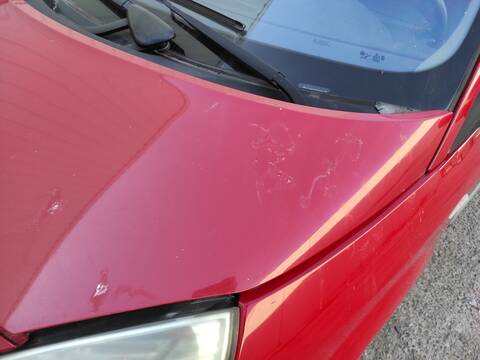 Foto 2ª: Capot Renault Scenic K9KP732 JM) (2003)