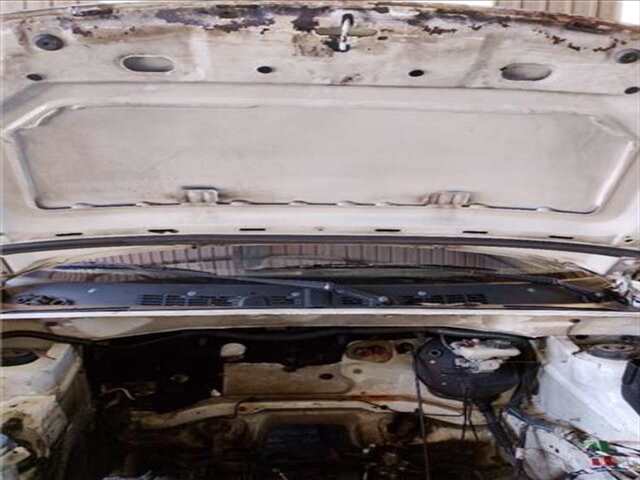 Capot Citroen Berlingo 1.9 D SX COMBI [1.9 LTR. - 51 KW DIESEL]