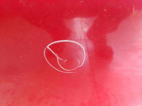 Foto 3ª: Capot Renault Kangoo 1.5 DCI 75 KW07 KW10 KW04) 75CV 55KW [K9K628] (2017)