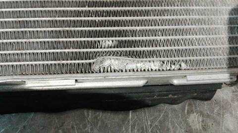 Foto 2ª: Radiador Motor Volkswagen Polo ADVANCE BLUEMOTION 75CV 55KW [CUSA] (2017)