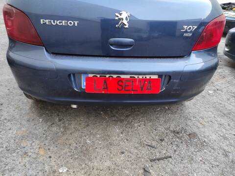 Paragolpes Trasero Peugeot 307 9HY
