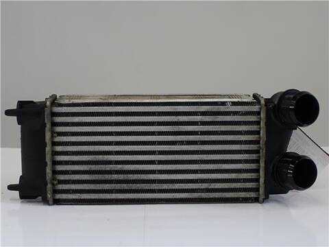 Intercooler Peugeot 3008 BLUE 1.6 HDI 120 CV