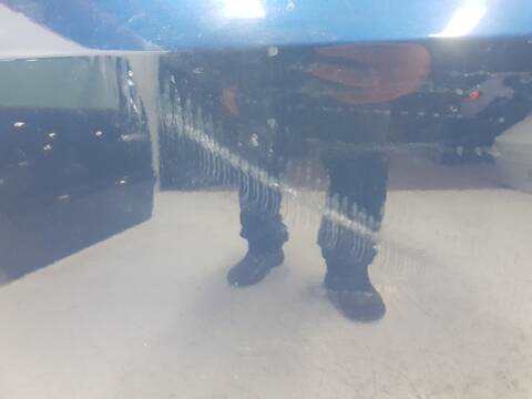 Foto 3ª: Puerta Delantera Izquierda Renault Kangoo FURGON PROFESSIONAL [K9K802] (2008)