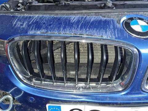 Foto 3ª: Rejilla Delantera Bmw Serie 3 315 330D 258CV 190KW [N57D30A] (2012)