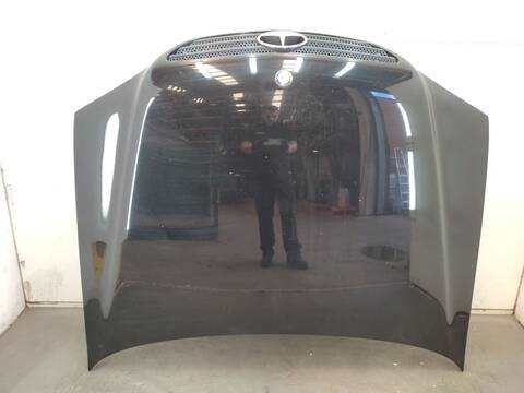 Capot Mercedes Clase ML 270 CDI W163) 163.113