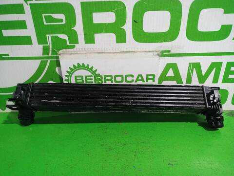 Foto 3ª: Intercooler Renault Scenic XMOD BOSE 132CV [H5F 404  H5F 408] (2009)