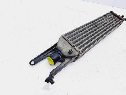Foto 3ª: Intercooler Fiat Linea 1.3 16V JTD CAT 90CV 66KW [199A3000] (2008)