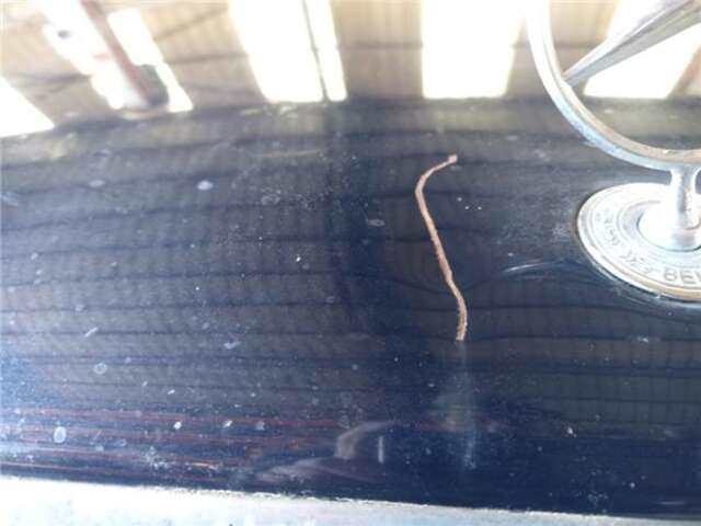 Foto 2ª: Capot Mercedes Clase E 180 2.2 200 CDI (210.007) [2.2 LTR. - 75 KW CDI CAT] [D]