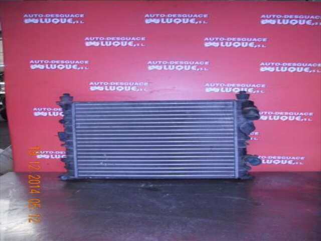 Radiador Motor Renault Kangoo 1.2 AUTHENTIQUE [1.2 LTR. - 43 KW]