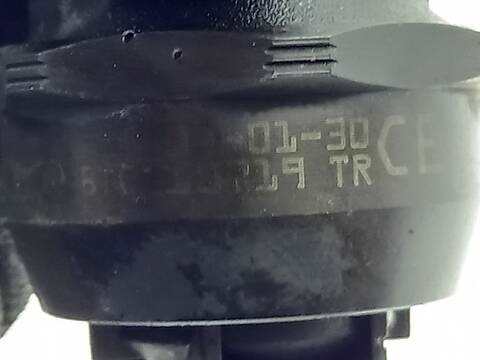 Foto 3ª: Inyectores Volkswagen Touareg BAC (2004)