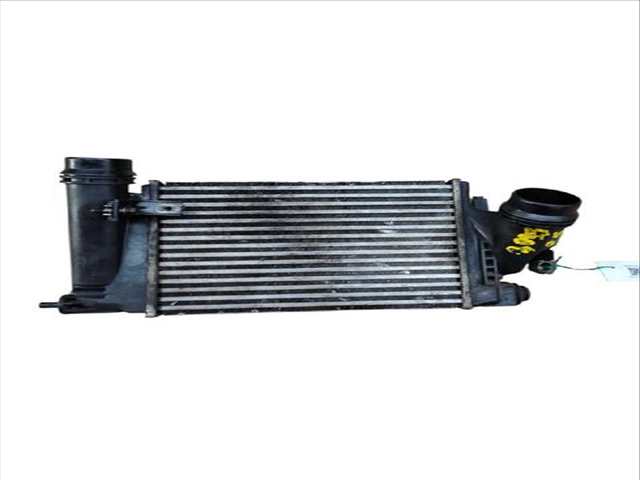 Intercooler Renault Talisman 1.6 DCI 130 GRANDTOUR