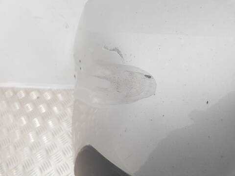 Foto 3ª: Paragolpes Delantero Dacia Duster PRESTIGE 109CV (2011)