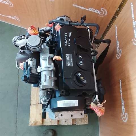 Foto 3ª: Motor Completo Seat Ibiza 1.9 TDI 105CV [BLS] (2009)