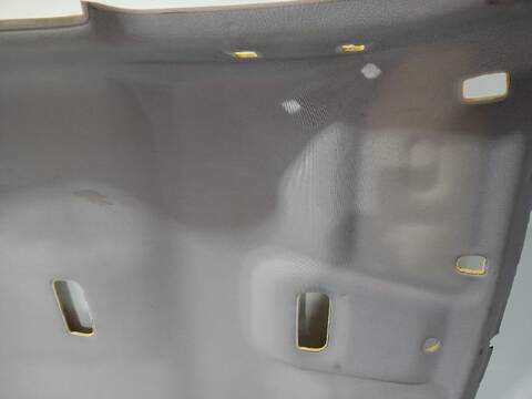 Foto 2ª: Techo Interior Renault Scenic BOSE EDITION 110CV [K9K836] (2009)