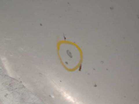 Foto 4ª: Capot Hyundai i30 DIESEL CW [D4FB] (2009)