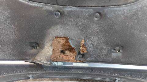 Foto 3ª: Capot Toyota Rav4 PREMIUM 177CV 130KW [2ADFHV] (2006)