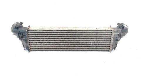 Foto 3ª: Intercooler Bmw X5 3.0 D 184CV (2000)
