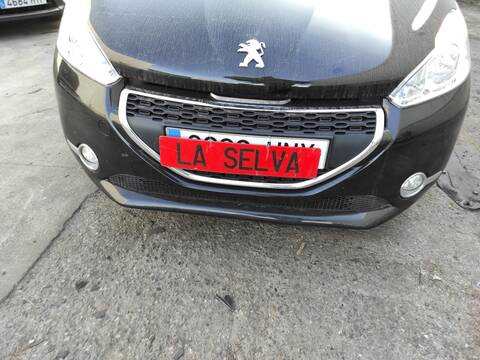 Paragolpes Delantero Peugeot 208 ZM01