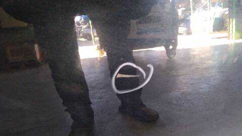 Foto 3ª: Puerta Trasera Izquierda Toyota Auris ACTIVE 90CV 66KW [1ND] (2014)